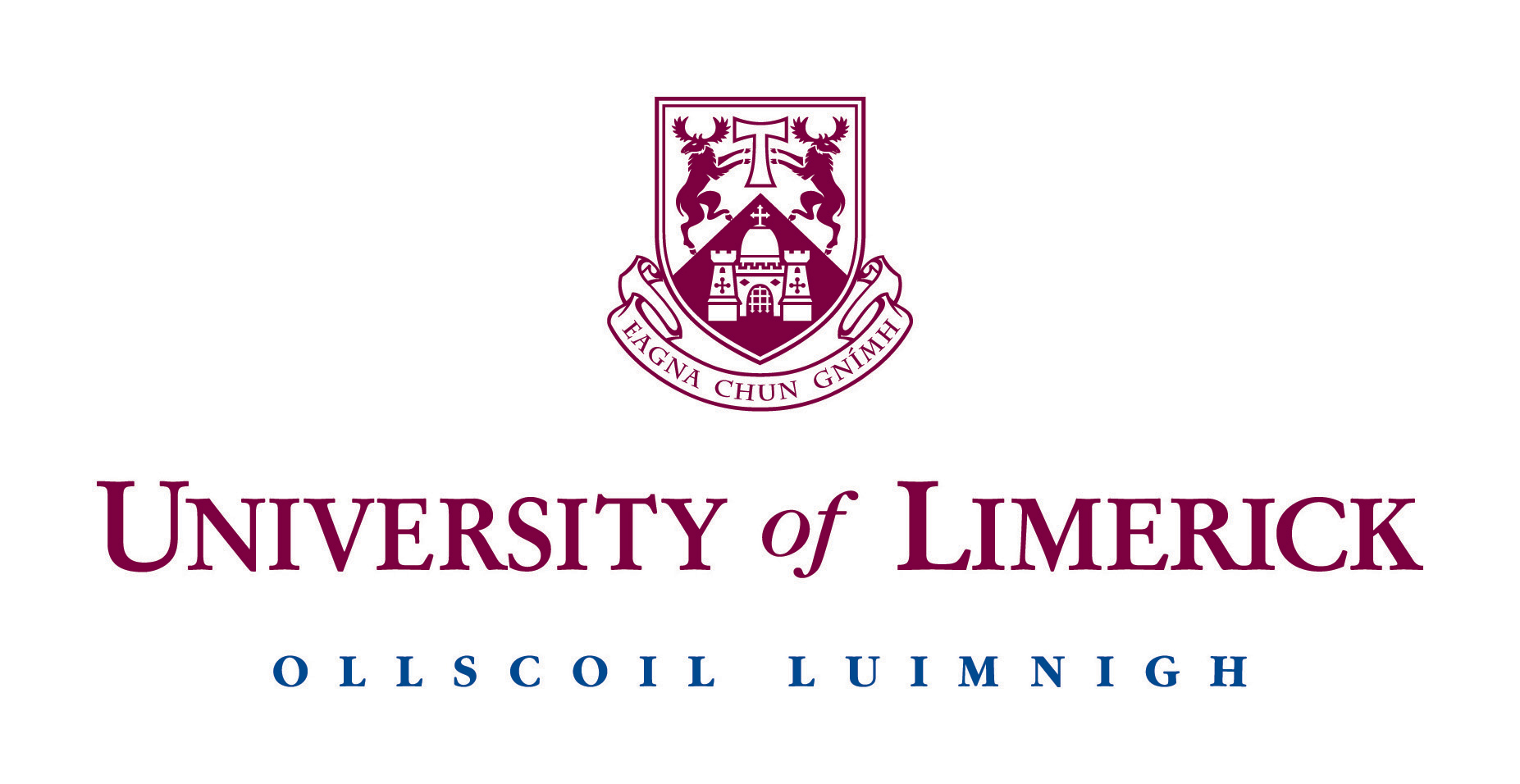 University of Limerick